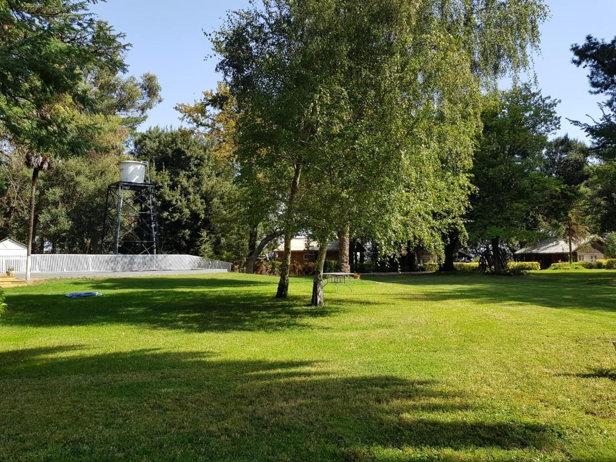 Lodge Mirador Chillan Exterior photo