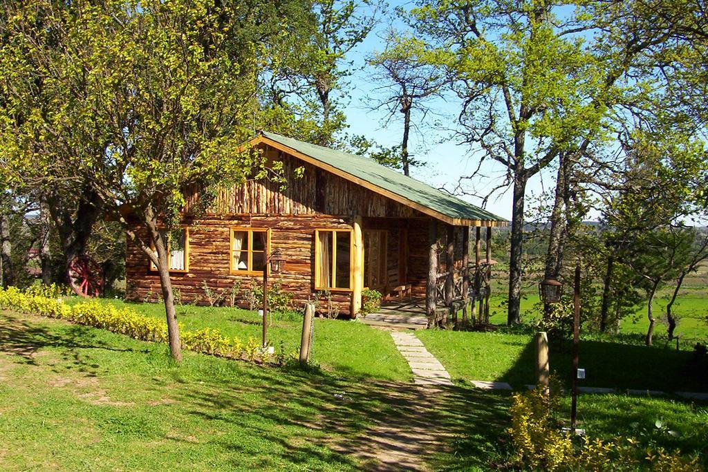 Lodge Mirador Chillan Exterior photo